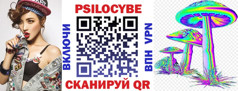 Галлюциногенные грибы Psilocybe  наркота  Поворино 